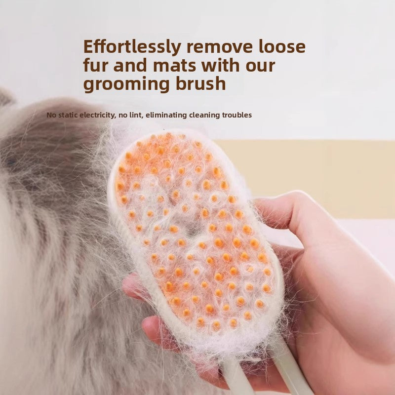 Pet Spray Massage Comb