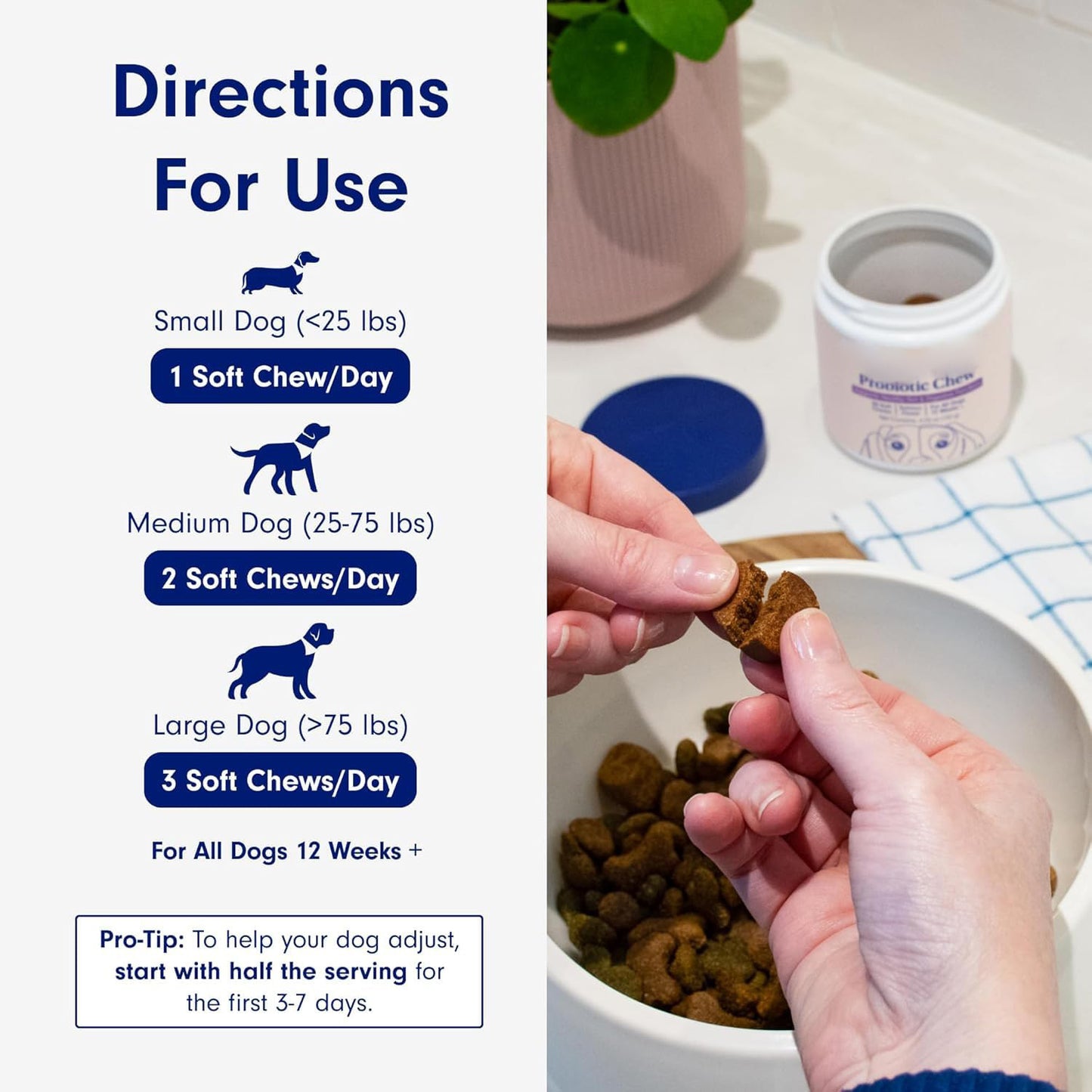 Avenlo Dog+ Probiotics™